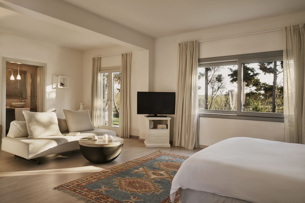 Experience Suite - Photo 1