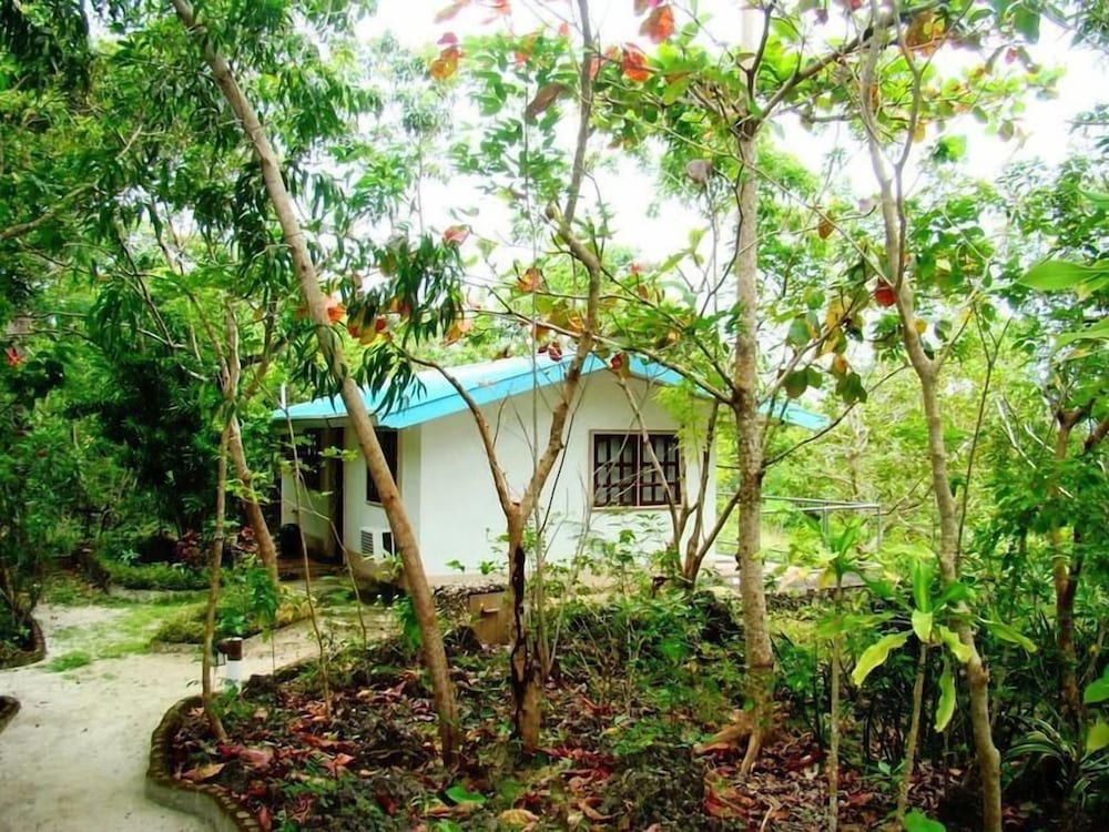 Bungalow photo 3