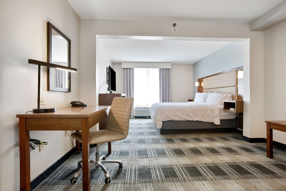 Standard Room, 1 King Bed, Accessible (Access Tub) - Photo 3
