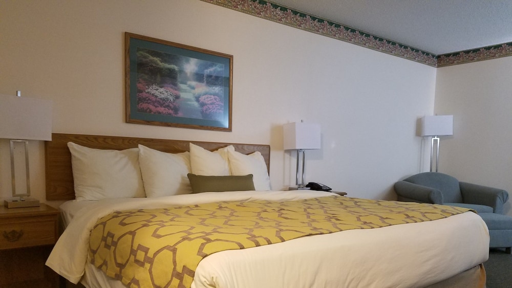 Room, 1 King Bed, Non Smoking
