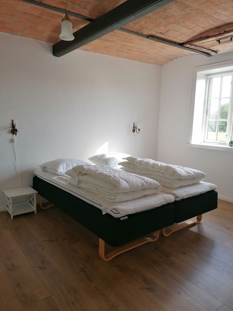 Basic Apartment, Multiple Beds, Non Smoking photo 3