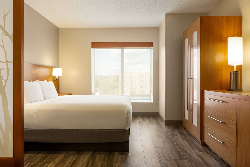 Room, 1 King Bed (High Floor)