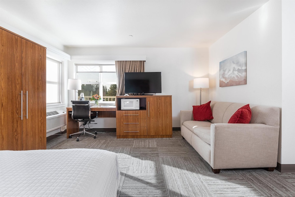 Standard Room, 1 Queen Bed, Accessible, Refrigerator & Microwave (with Sofabed) photo 2
