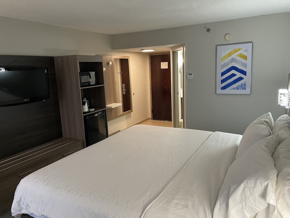 Room, 1 King Bed, Non Smoking (Leisure) - Photo 2