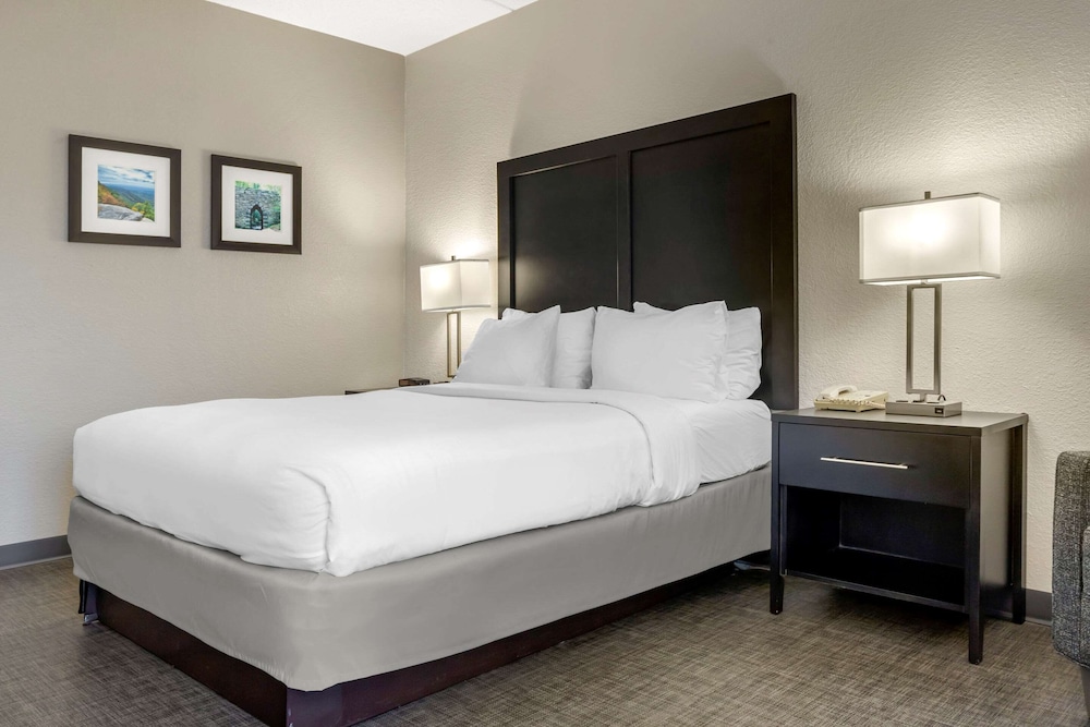 Basic Room, 1 Queen Bed, Accessible, Non Smoking - Photo 13