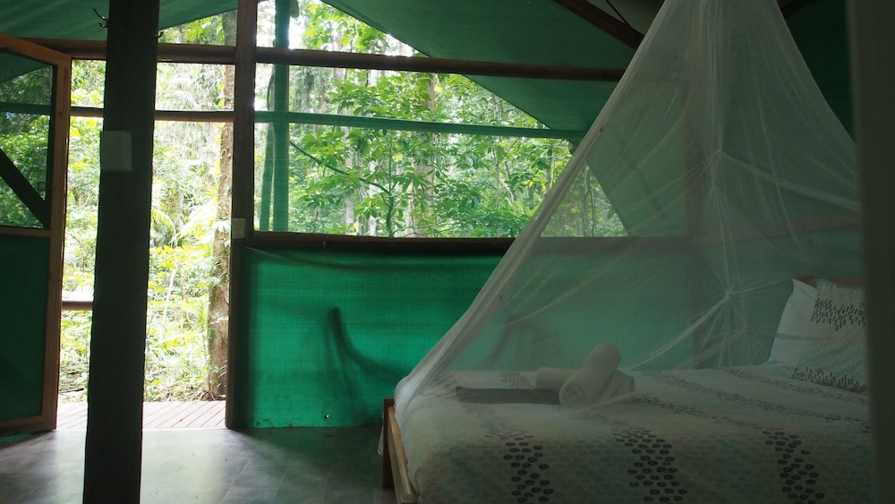 Family Room, Multiple Beds (Rainforest Bungalow) photo 3