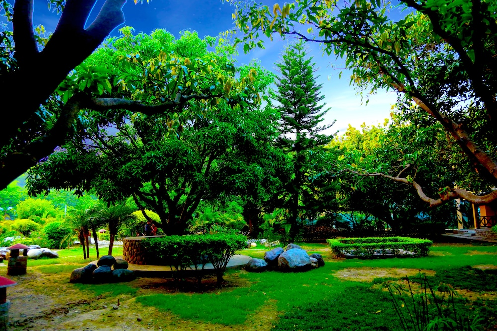 Jungle Cottage - Photo 2