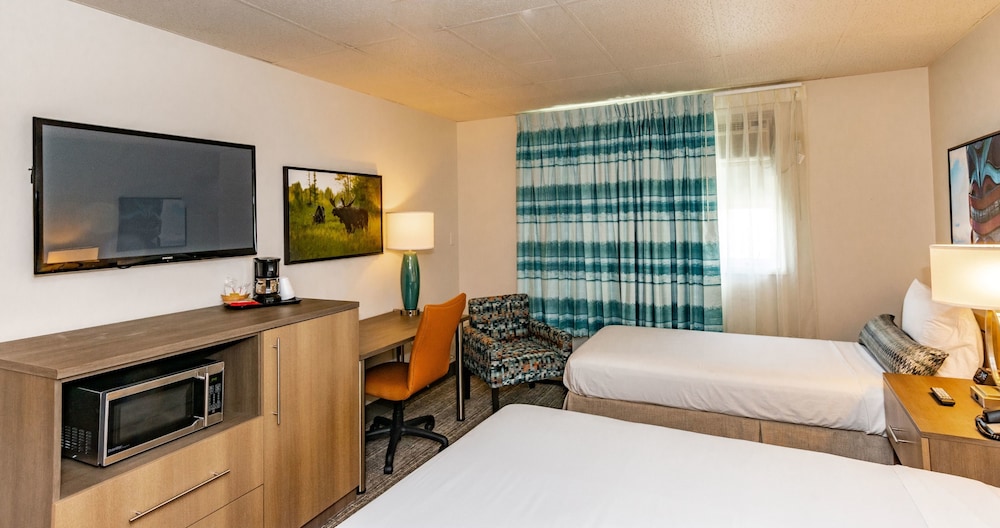 Room, Multiple Beds, Non Smoking photo 2