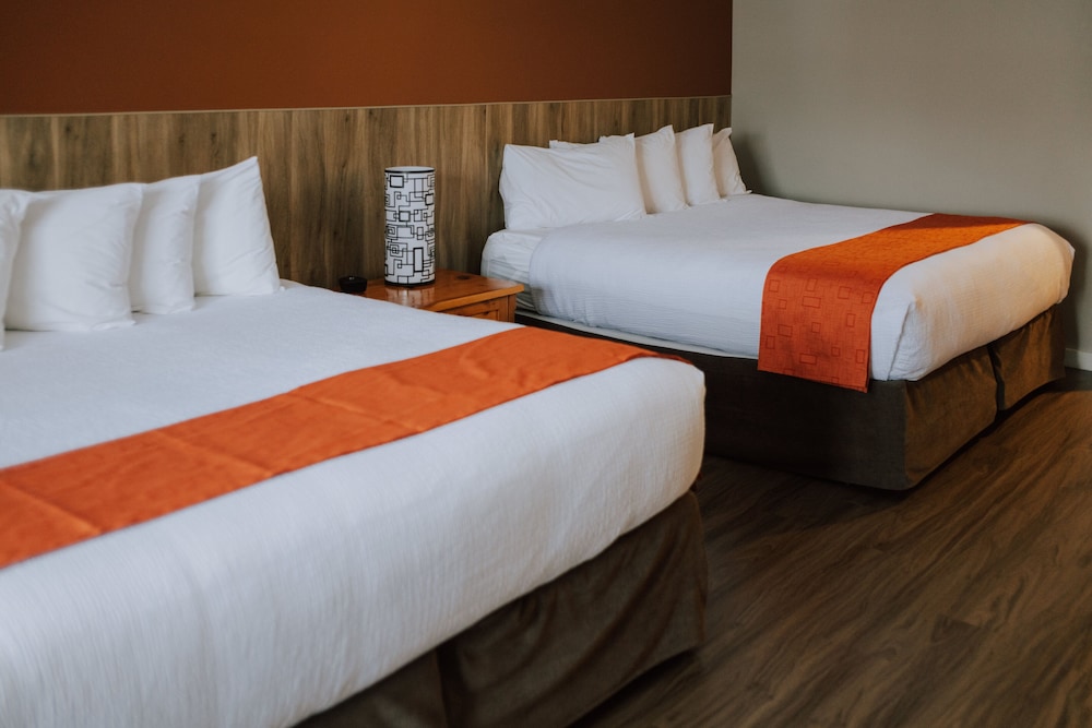 Superior Room, Multiple Beds photo 2