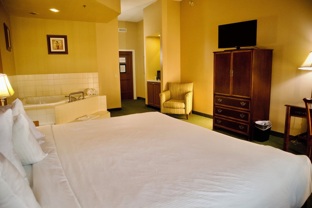 Exclusive Room, 1 King Bed photo 2