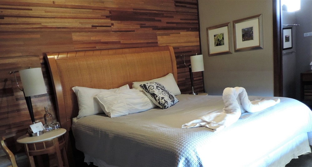 Standard Room, 1 King Bed, Accessible, Patio photo 1