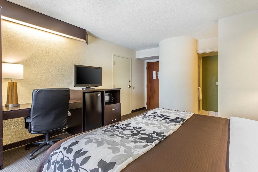 Standard Room, 1 King Bed, Non Smoking - Photo 4
