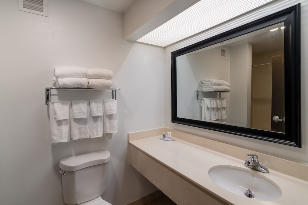 Business Room, 1 King Bed, Non Smoking - Photo 3