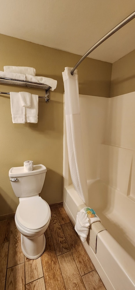 Deluxe Room, 1 King Bed, Non Smoking, Refrigerator & Microwave (Rooms with 1 Queen bed) photo 3