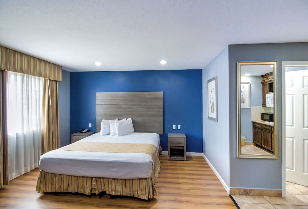 Suite, 1 King Bed, Accessible, Non Smoking (Efficiency) photo 1