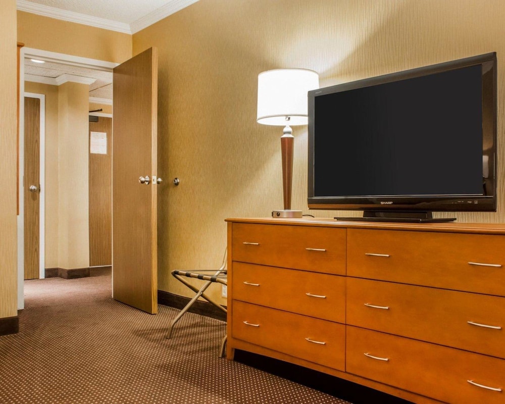 Efficiency, Suite, 1 King Bed with Sofa bed, Non Smoking photo 2