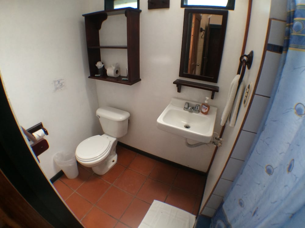 Economy Room photo 2