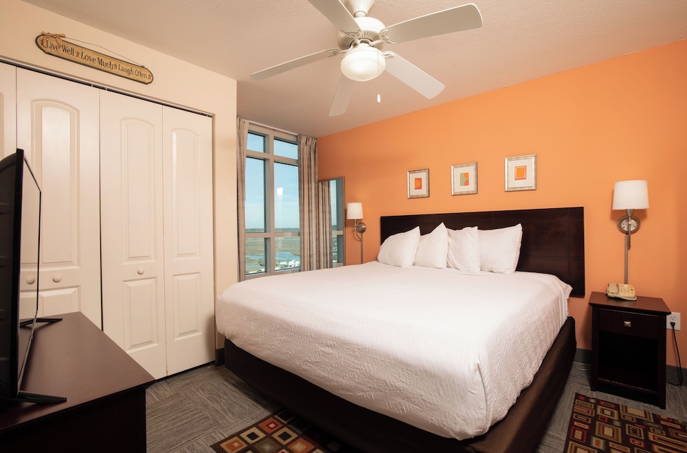 Basic Suite photo 1