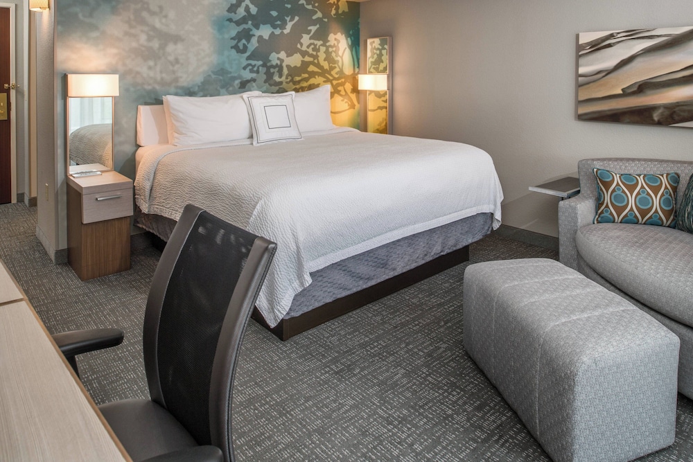 Room, 1 King Bed (Mobility/Hearing Access, Roll-In Shwr)