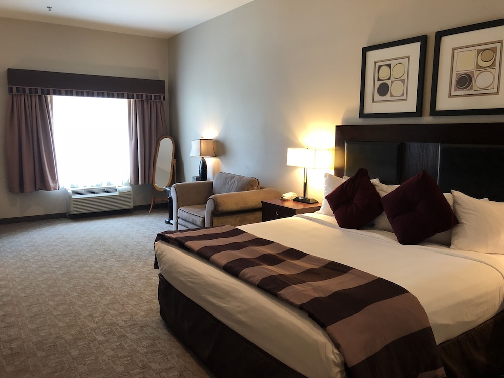 Presidential Suite, 1 King Bed with Sleeper Sofa photo 1