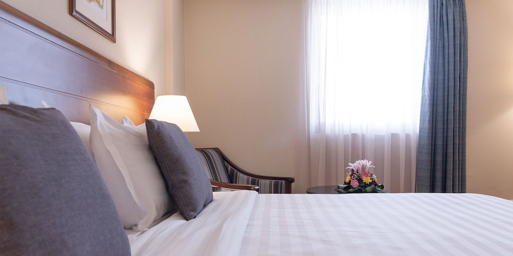 Standard Room, 1 King Bed, Accessible - Photo 3