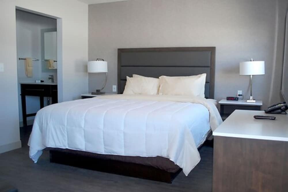Classic Studio Suite, 1 King Bed with Sofa bed