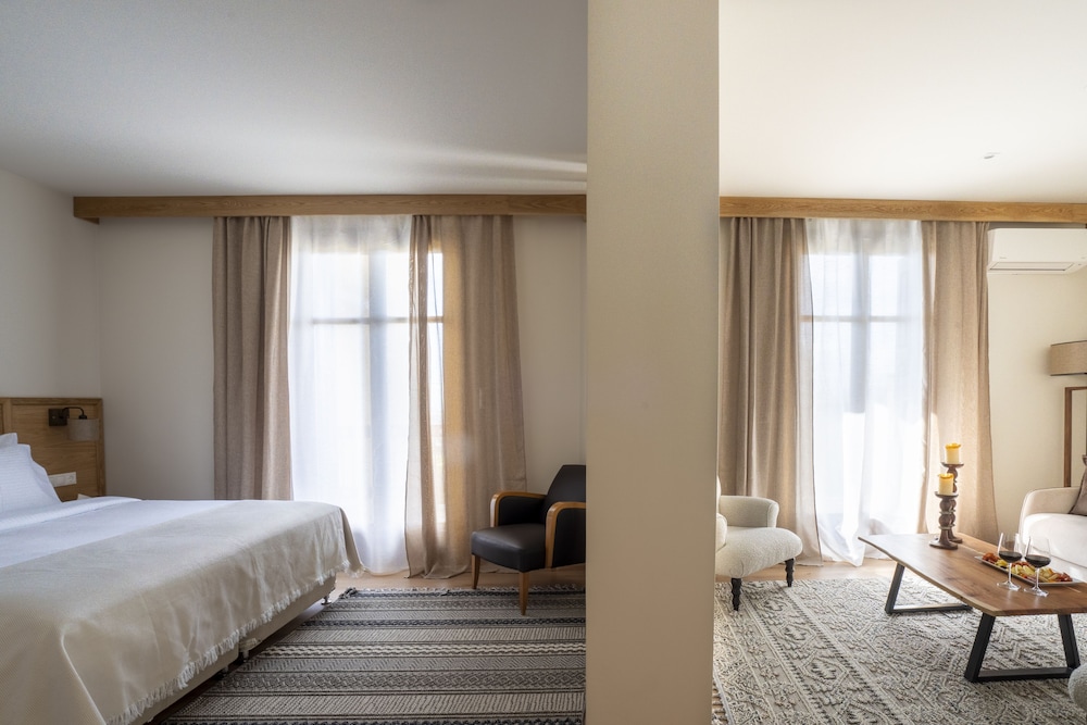 Grand Studio Suite photo 3