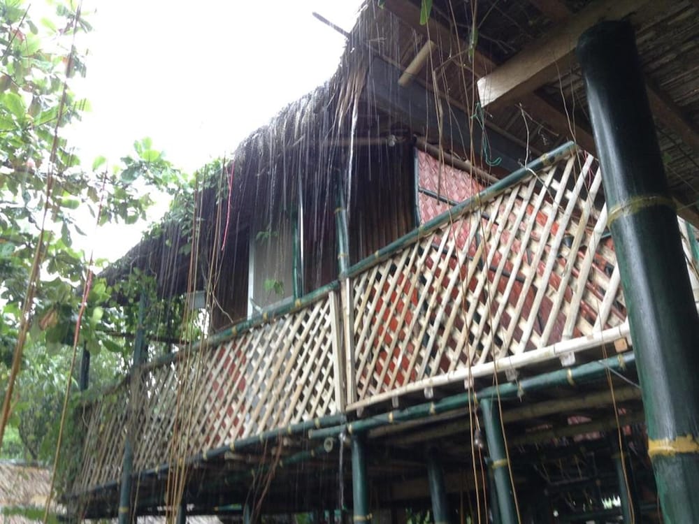 Tree House photo 2
