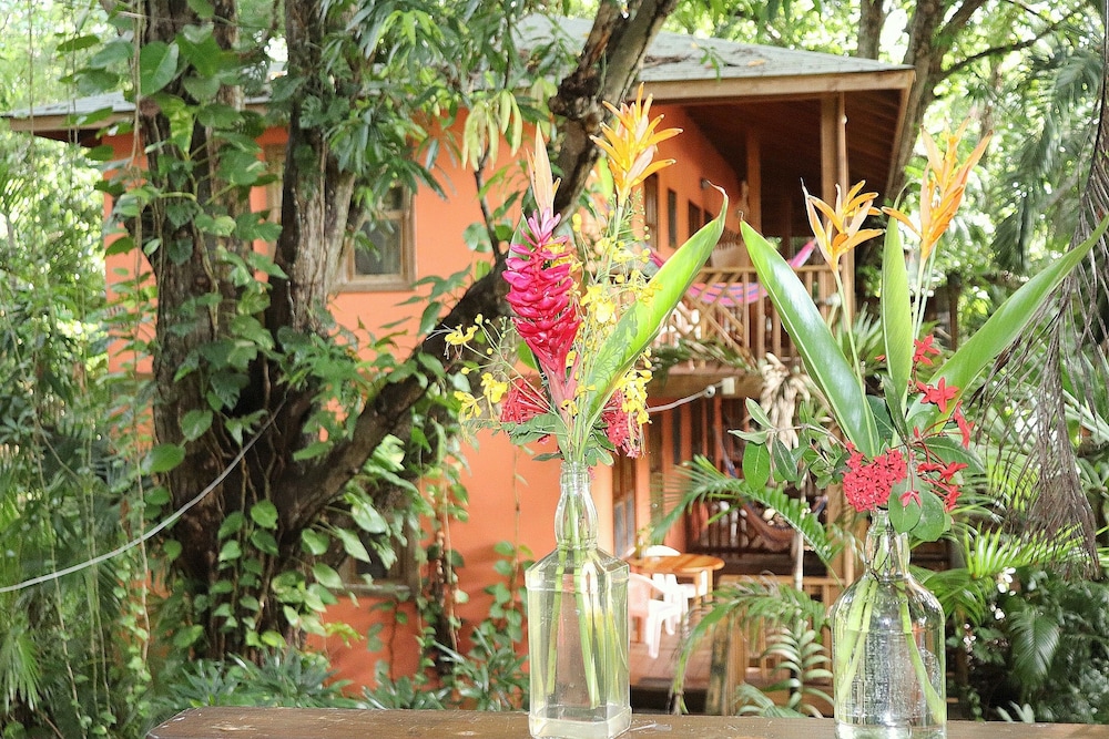 Family Apartment, 1 Bedroom, Kitchen, Beachfront photo 2