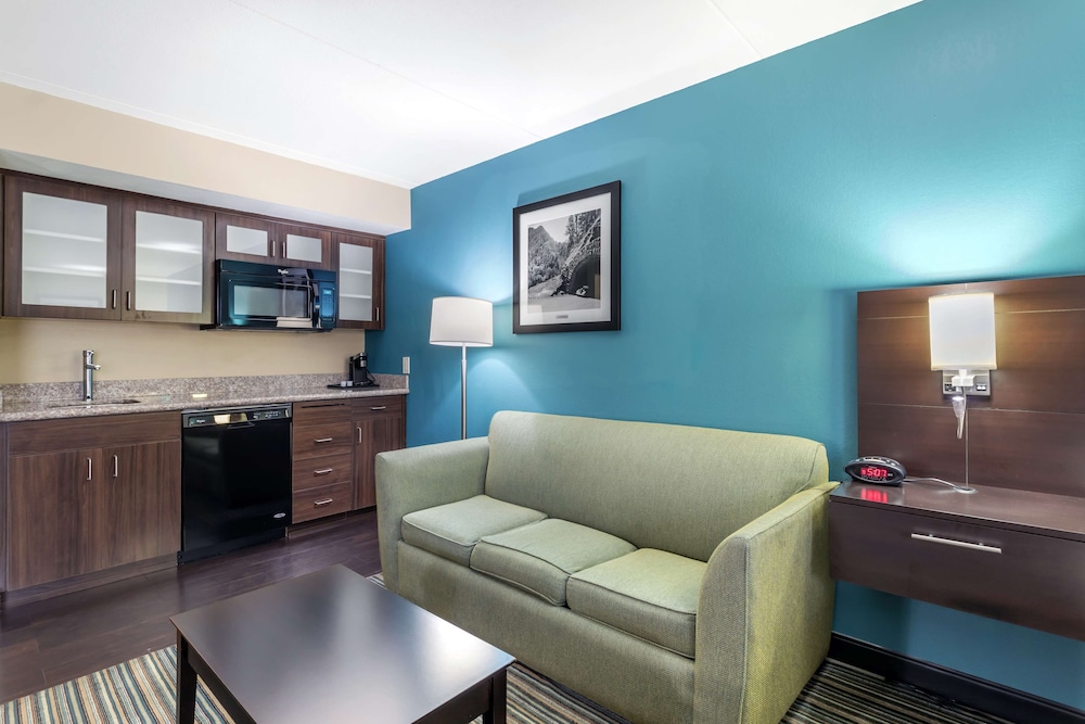 Suite, 1 King Bed, Non Smoking, Kitchenette (with Sofabed) - Photo 4