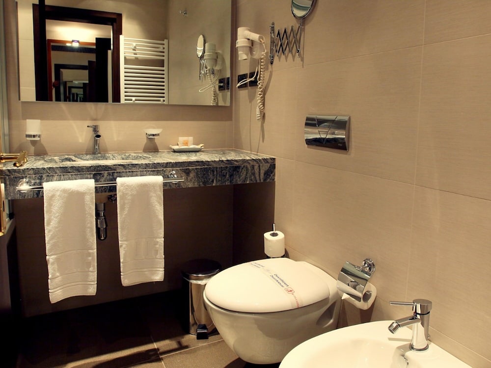 Deluxe Single Room photo 3
