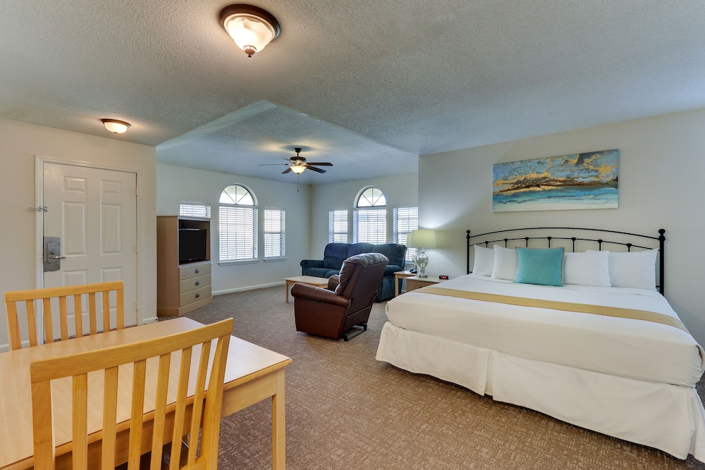 Studio Suite, 1 King Bed photo 1