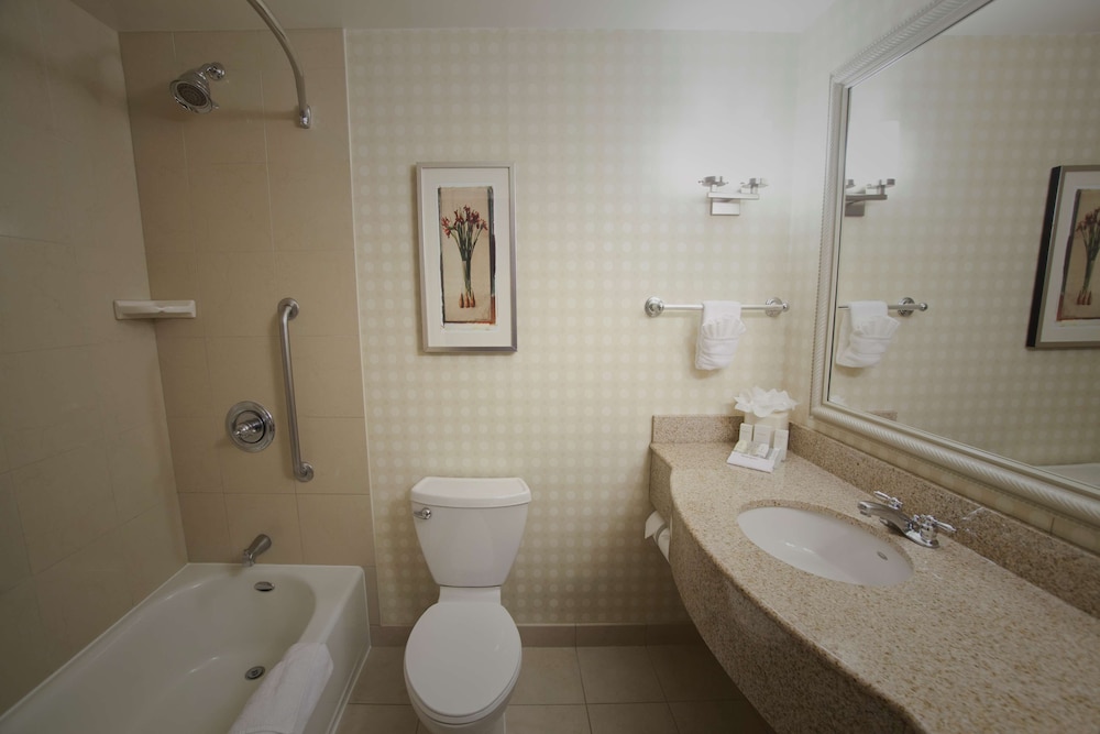 Suite, One King Bed photo 2