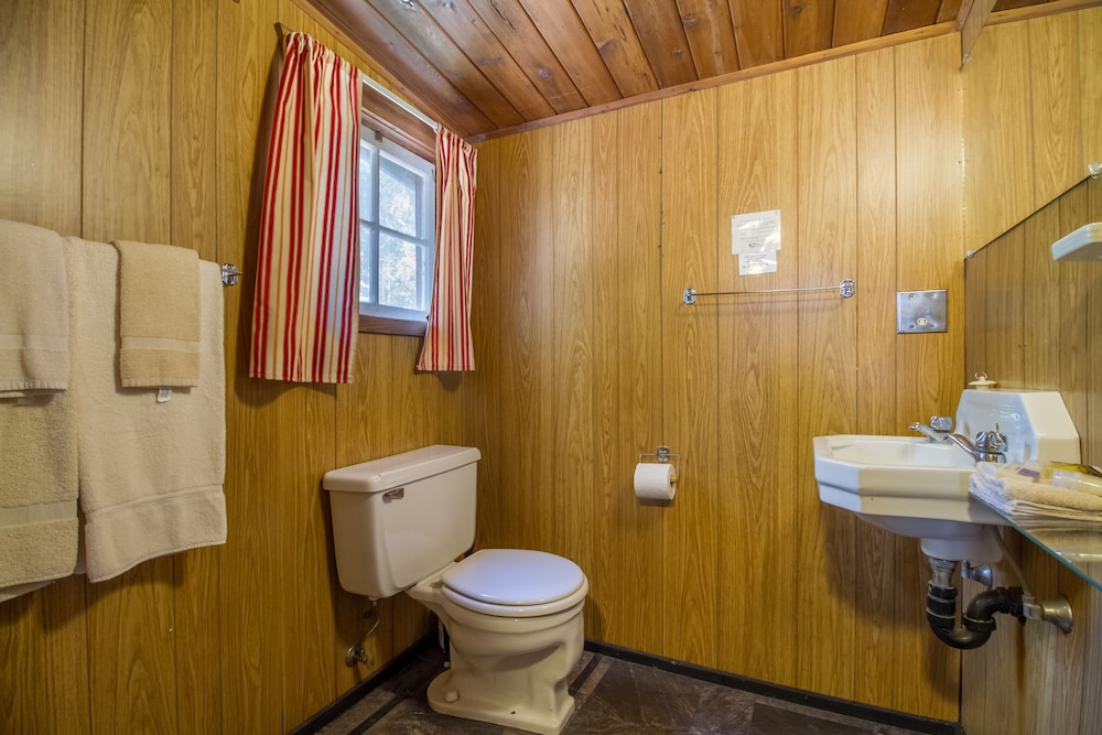 Family Cabin, 1 Queen Bed with Sofa bed, Kitchenette, Mountain View photo 3