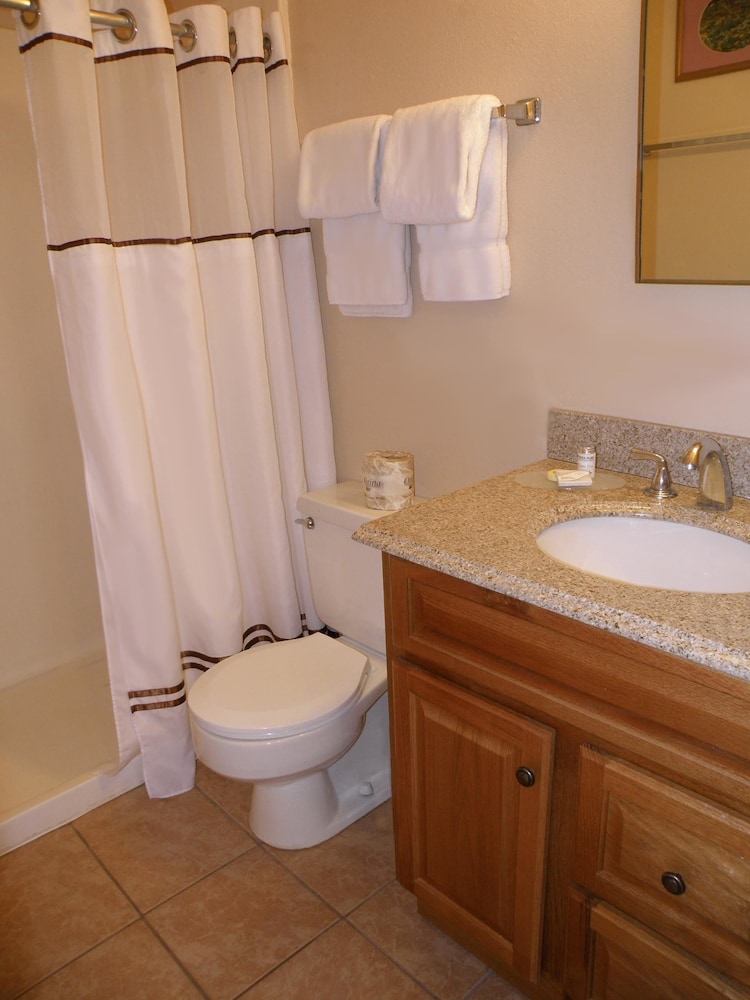 Family Suite, Kitchen photo 3