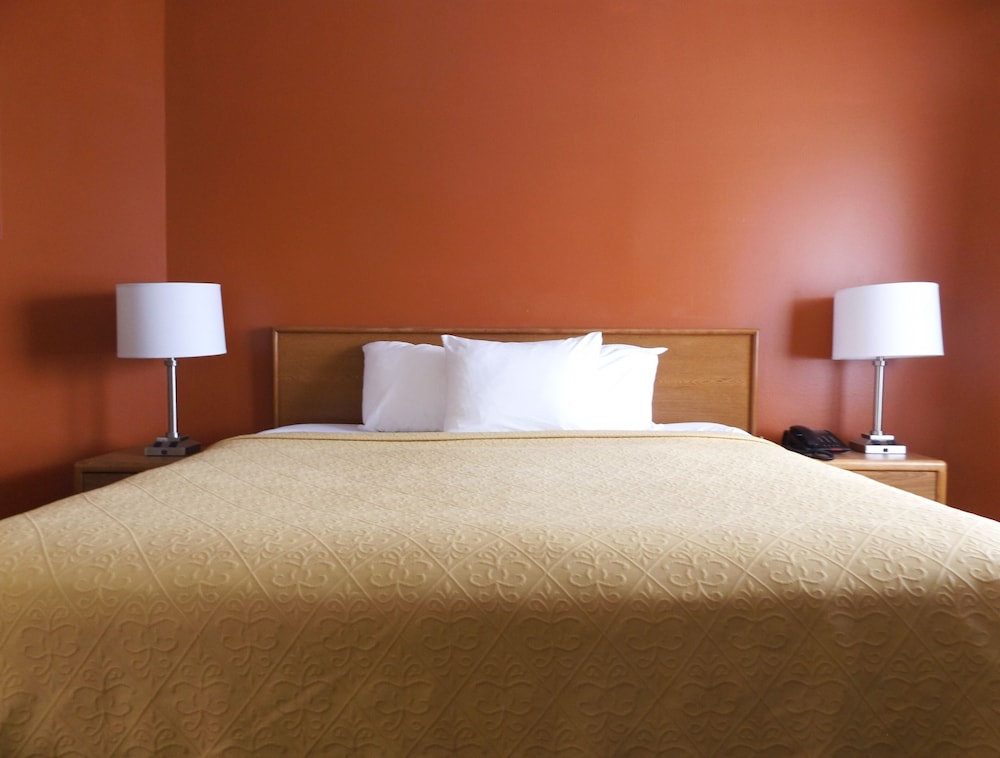 Room, 1 King Bed, Non Smoking photo 2