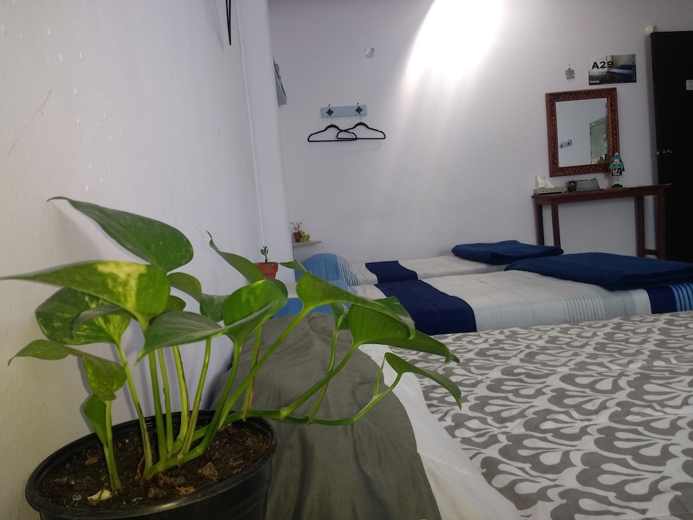 Basic Shared Dormitory, Mixed Dorm, City View photo 3