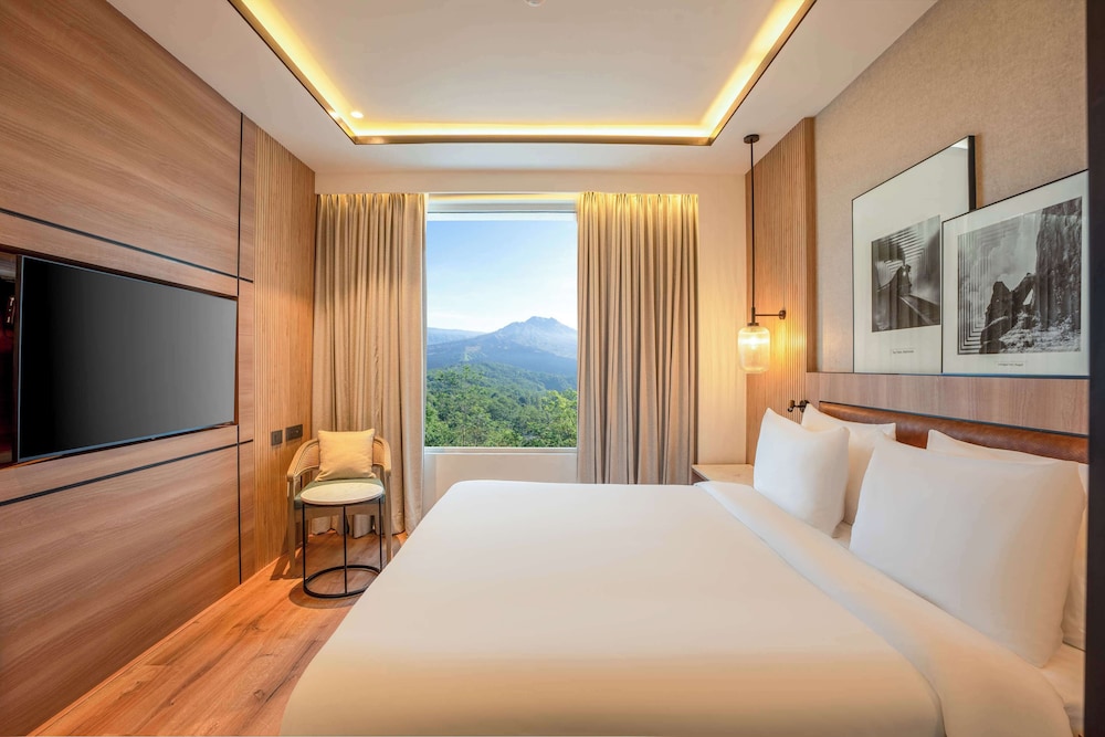 Premium Suite, Mountain View