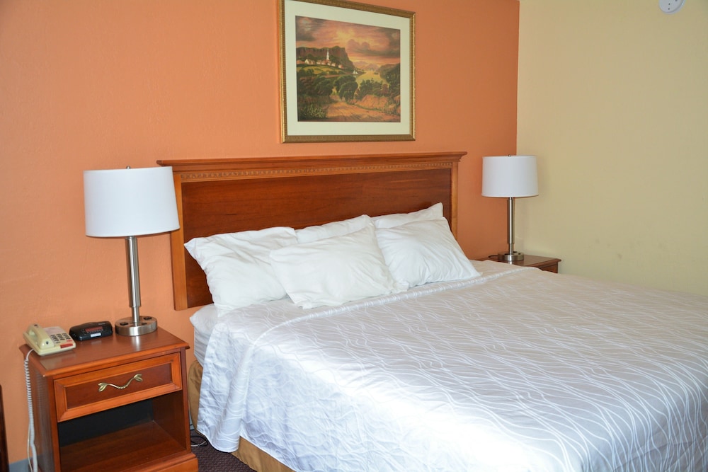 Room, 1 King Bed, Non Smoking, Jetted Tub - Photo 4