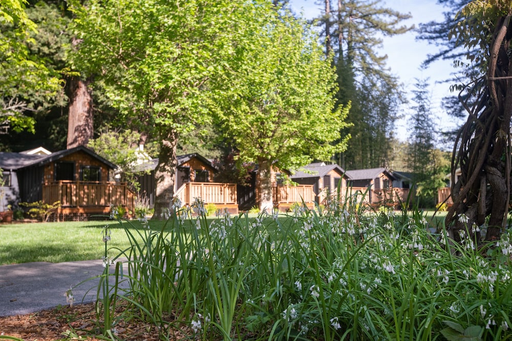 Murphy's Cabin - Photo 8