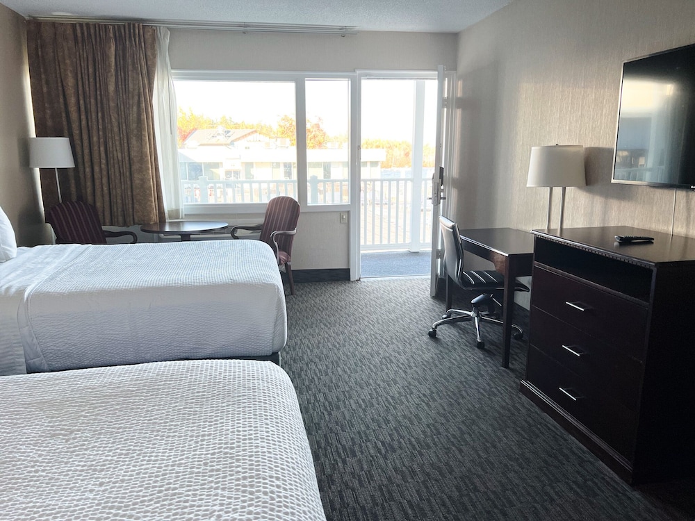 Poolside Room 2 Queen Beds - Photo 2