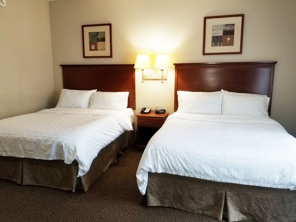 Studio Suite, 2 Queen Beds (Comm) - Photo 6