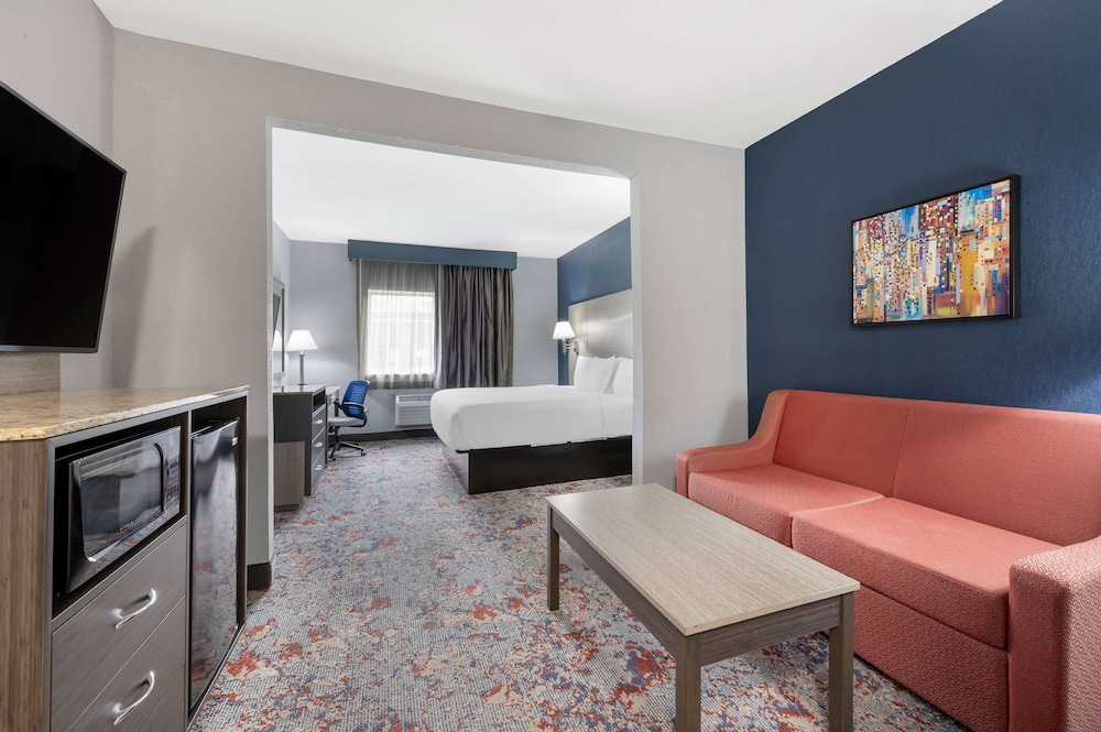 Suite, 1 King Bed, Non Smoking, Refrigerator & Microwave (with Sofabed) - Photo 1