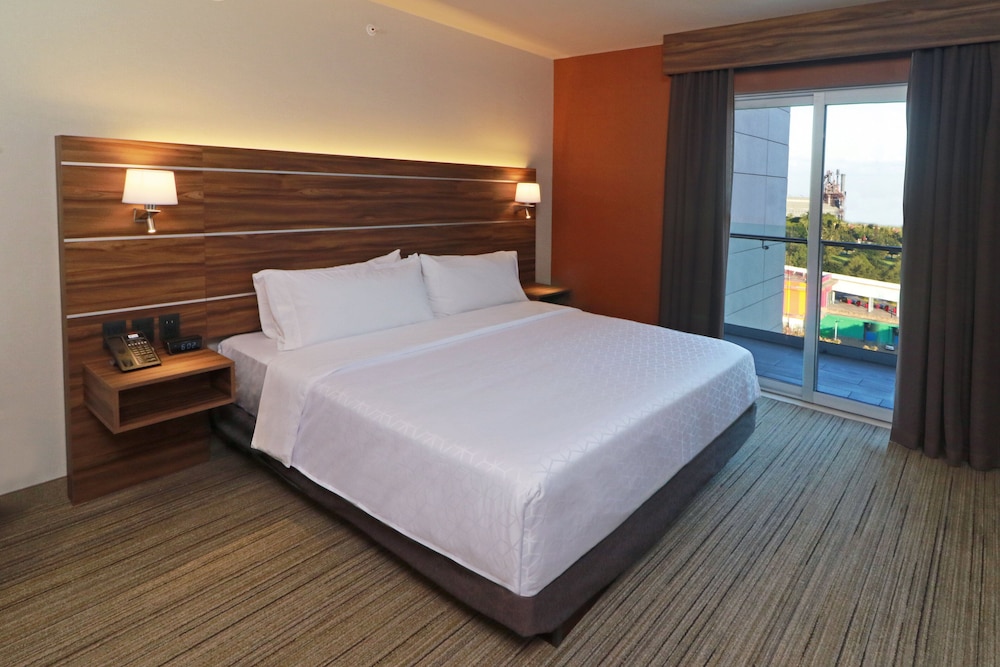 Suite, 1 King Bed - Photo 1