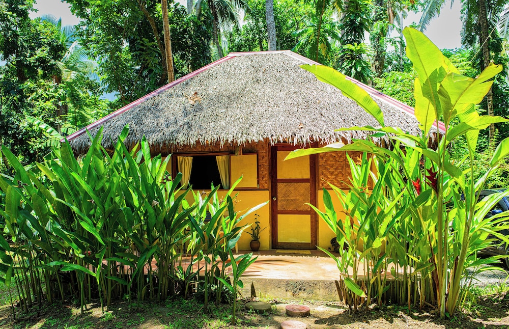Family Double or Twin Room