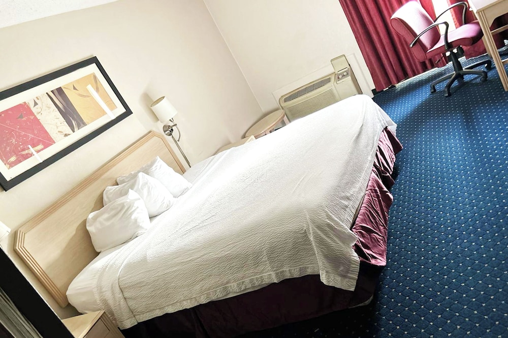 Room, 1 King Bed with Sofa bed, Non Smoking photo 1