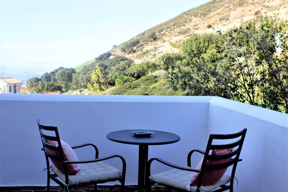 Junior Room, Terrace photo 2