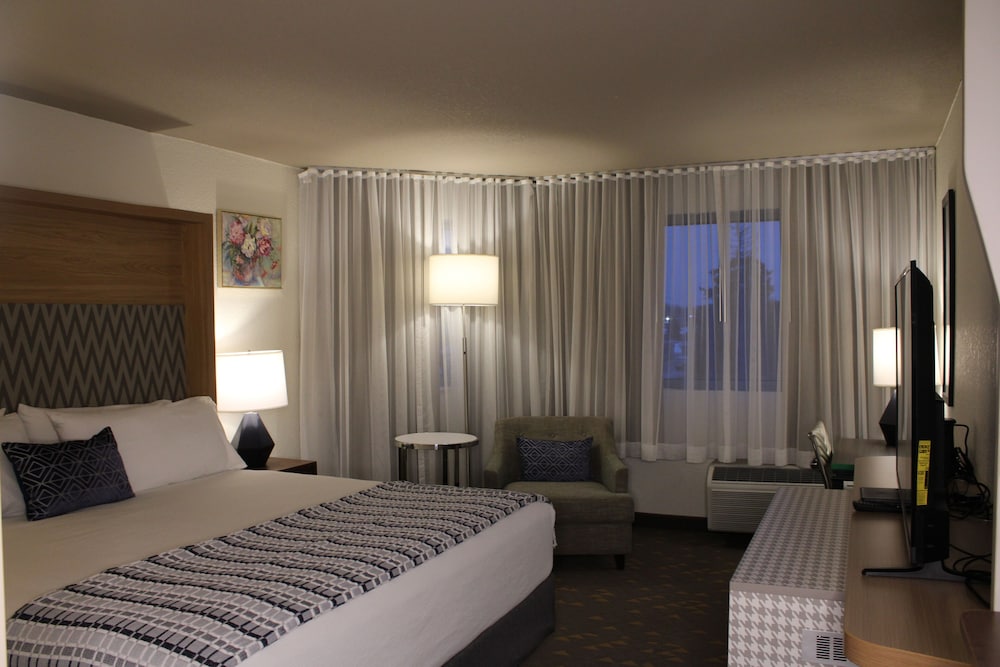 Junior Suite, 1 King Bed, Non Smoking photo 1