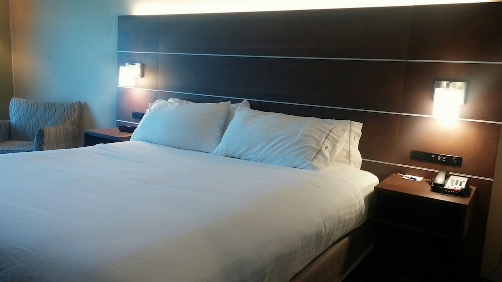 Standard Room, 1 King Bed, Accessible (Mobility, Roll-In Shower) - Photo 1