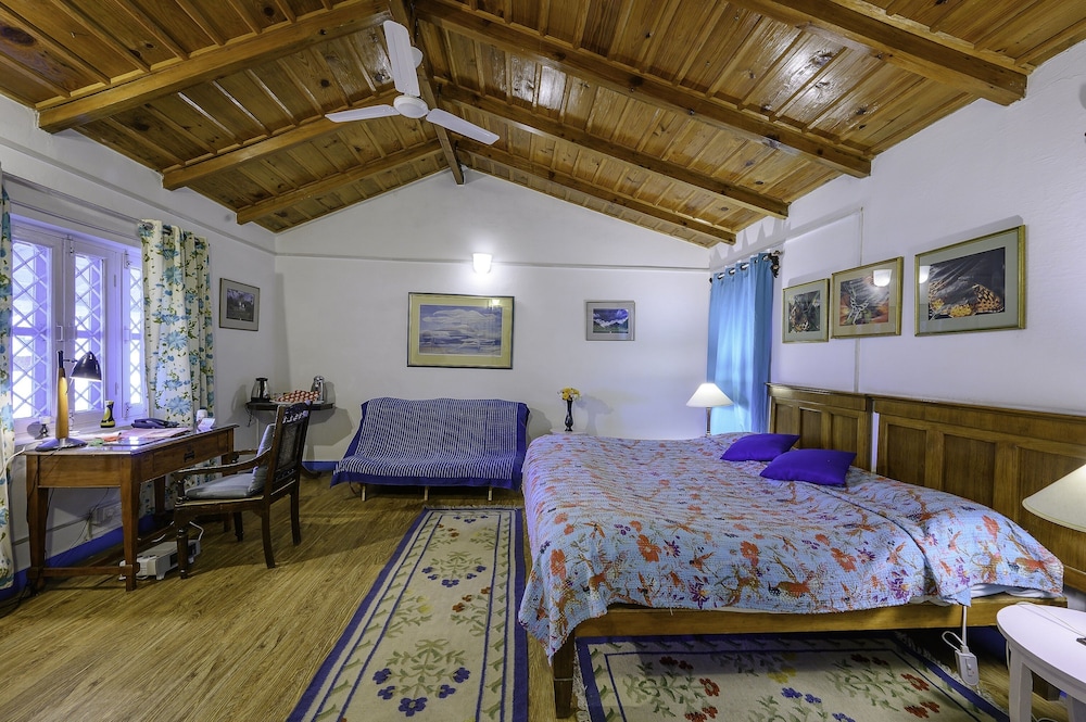 Comfort Room photo 3